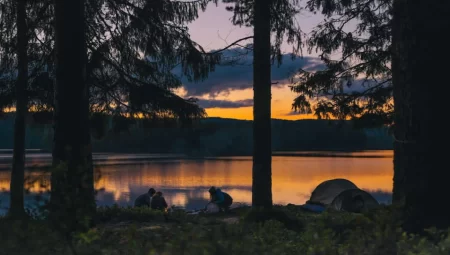 Kampta Böceklerden Korunmak